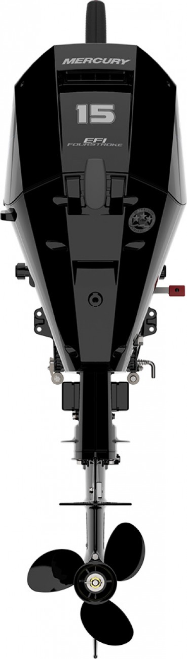 slider 1 F 15 EFI SEAPRO